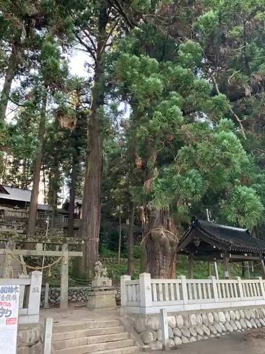 大洲七椙神社(長野県)