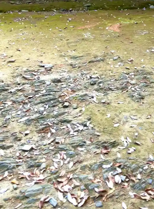 飯綱神社(愛宕神社奥社)(茨城県)