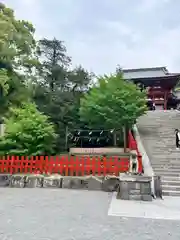 鶴岡八幡宮の自然