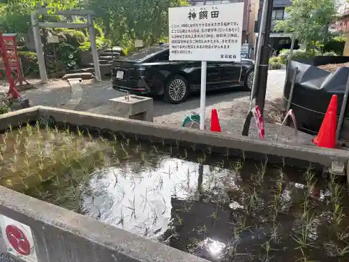 鎮守氷川神社の{uncategorized: "未分類", other: "その他", undefined: "問題あり", building: "その他建物", grave: "お墓", sacred_gate: "鳥居", guardian: "狛犬", statue: "像", buddha: "仏像", history: "歴史", nature: "自然", garden: "庭園", animal: "動物", pagoda: "塔", temizu: "手水舎", mountain_gate: "山門・神門", sanctuary: "本殿・本堂", subordinate: "末社・摂社", art: "芸術", scenery: "景色", jizo: "地蔵", ema: "絵馬", goshuin: "御朱印", omikuji: "おみくじ", items: "授与品その他", amulet: "お守り", goshuincho: "御朱印帳", eats: "食事", festival: "お祭り", votive_dance: "神楽", shichigosan: "七五三参", wedding: "結婚式", experience: "体験その他", initially: "初詣", around: "周辺", anti_infection: "感染症対策"}
