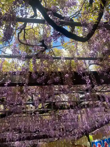 素盞鳴神社の庭園