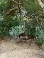 神明神社(千葉県)