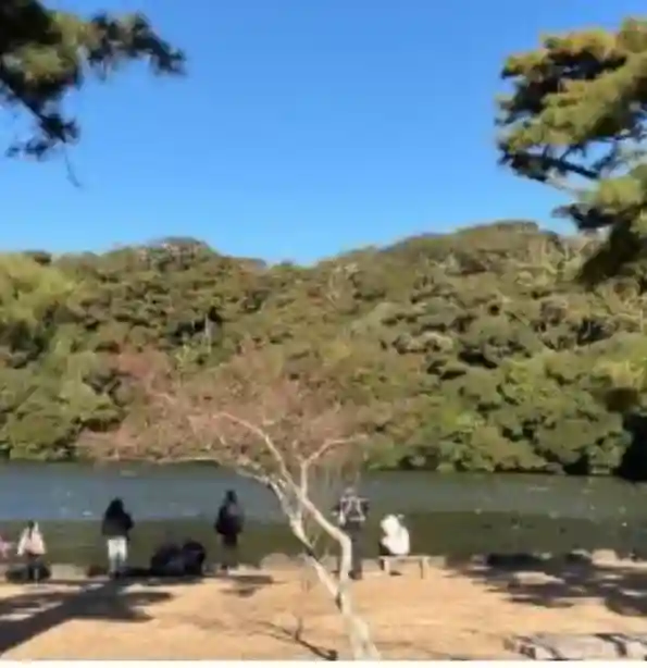 桜ヶ池池宮神社(静岡県)