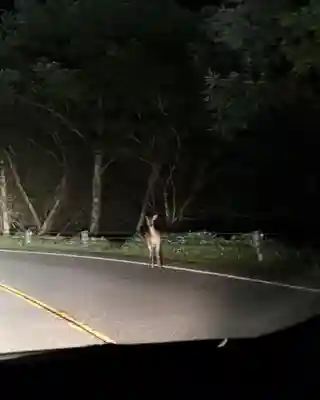 赤薙山神社(栃木県)