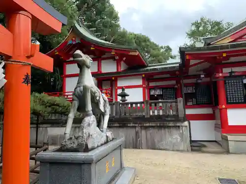 春日神社の狛犬