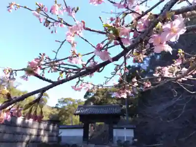摩訶耶寺(静岡県)