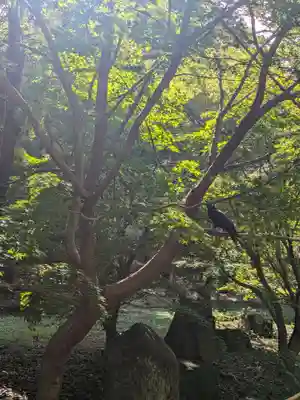 淨眞寺(東京都)