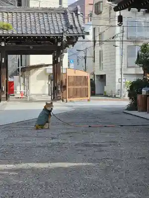 感通寺(東京都)