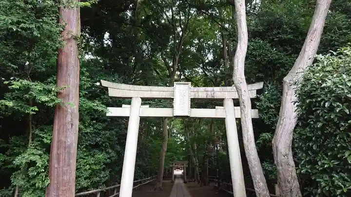 喜多見氷川神社の鳥居