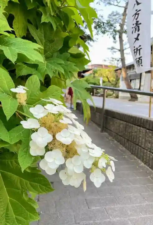 桜神宮のその他建物