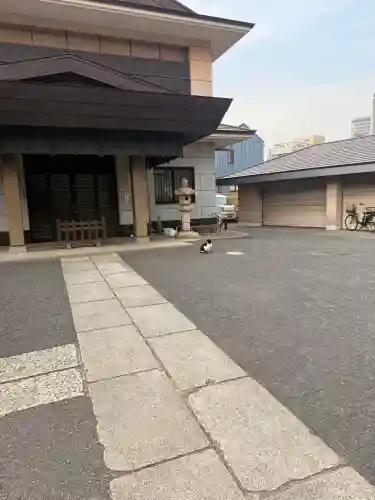 白金氷川神社の{uncategorized: "未分類", other: "その他", undefined: "問題あり", building: "その他建物", grave: "お墓", sacred_gate: "鳥居", guardian: "狛犬", statue: "像", buddha: "仏像", history: "歴史", nature: "自然", garden: "庭園", animal: "動物", pagoda: "塔", temizu: "手水舎", mountain_gate: "山門・神門", sanctuary: "本殿・本堂", subordinate: "末社・摂社", art: "芸術", scenery: "景色", jizo: "地蔵", ema: "絵馬", goshuin: "御朱印", omikuji: "おみくじ", items: "授与品その他", amulet: "お守り", goshuincho: "御朱印帳", eats: "食事", festival: "お祭り", votive_dance: "神楽", shichigosan: "七五三参", wedding: "結婚式", experience: "体験その他", initially: "初詣", around: "周辺", anti_infection: "感染症対策"}