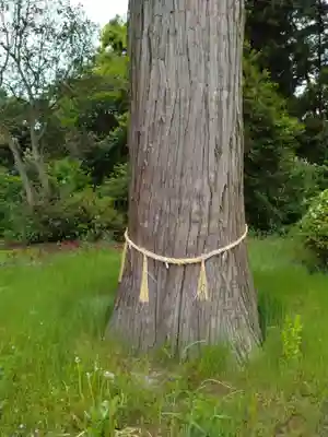 日月堂(宮城県)