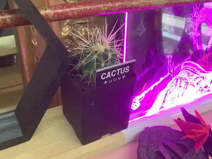 錦鯱神社(愛知県)