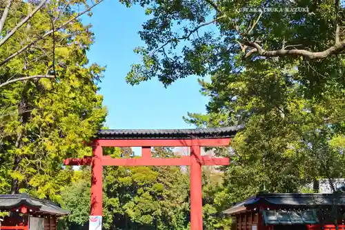 武蔵一宮氷川神社(埼玉県)