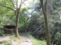 施福寺の自然