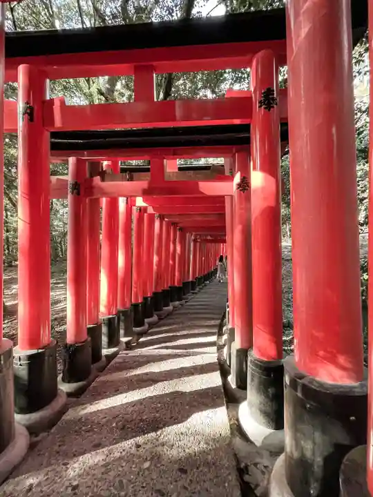 伏見稲荷大社(京都府)