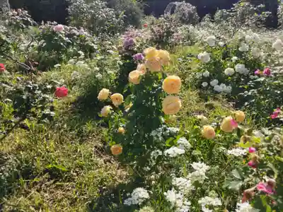 増上寺塔頭 三縁山 宝珠院の周辺