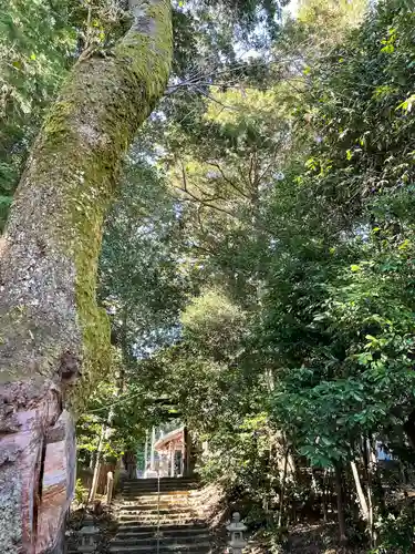 上野神社(三重県)