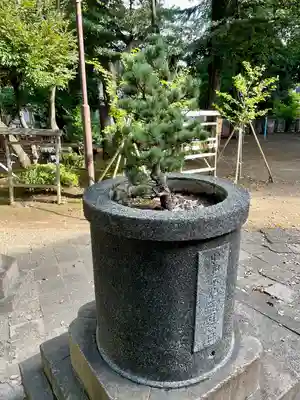 八景天祖神社(東京都)