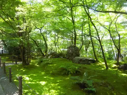 禅林寺（永観堂）の庭園