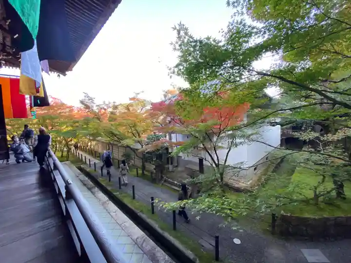 禅林寺(永観堂)(京都府)