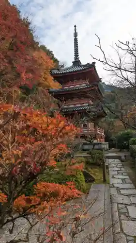 三室戸寺(京都府)