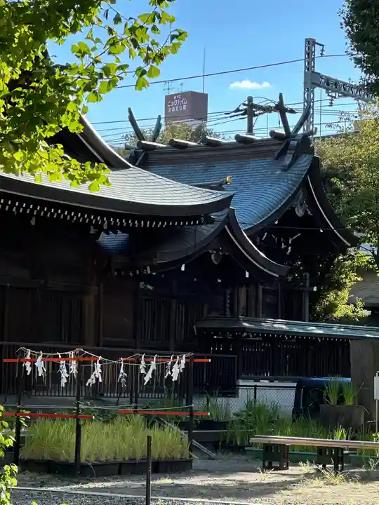 磐井神社(東京都)