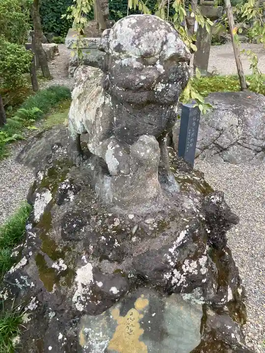 貫井神社の狛犬