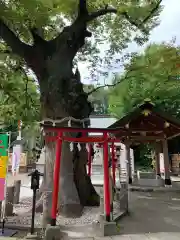 新田神社の鳥居