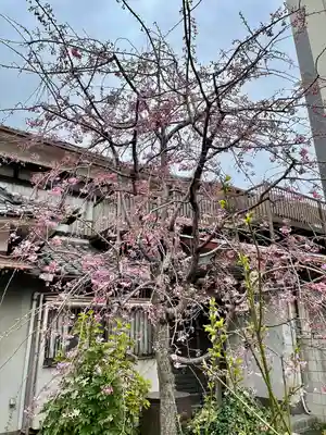 今戸神社(東京都)