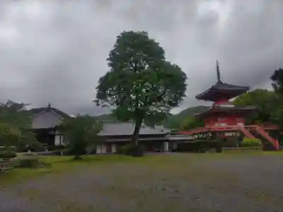 大覚寺(京都府)
