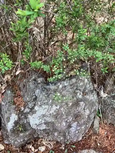 白山神社の自然