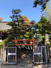 荒井神社の鳥居