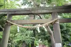 越谷香取神社の鳥居