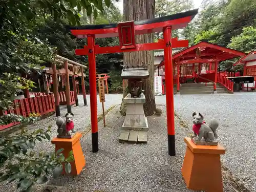 安志稲荷神社の{uncategorized: "未分類", other: "その他", undefined: "問題あり", building: "その他建物", grave: "お墓", sacred_gate: "鳥居", guardian: "狛犬", statue: "像", buddha: "仏像", history: "歴史", nature: "自然", garden: "庭園", animal: "動物", pagoda: "塔", temizu: "手水舎", mountain_gate: "山門・神門", sanctuary: "本殿・本堂", subordinate: "末社・摂社", art: "芸術", scenery: "景色", jizo: "地蔵", ema: "絵馬", goshuin: "御朱印", omikuji: "おみくじ", items: "授与品その他", amulet: "お守り", goshuincho: "御朱印帳", eats: "食事", festival: "お祭り", votive_dance: "神楽", shichigosan: "七五三参", wedding: "結婚式", experience: "体験その他", initially: "初詣", around: "周辺", anti_infection: "感染症対策"}