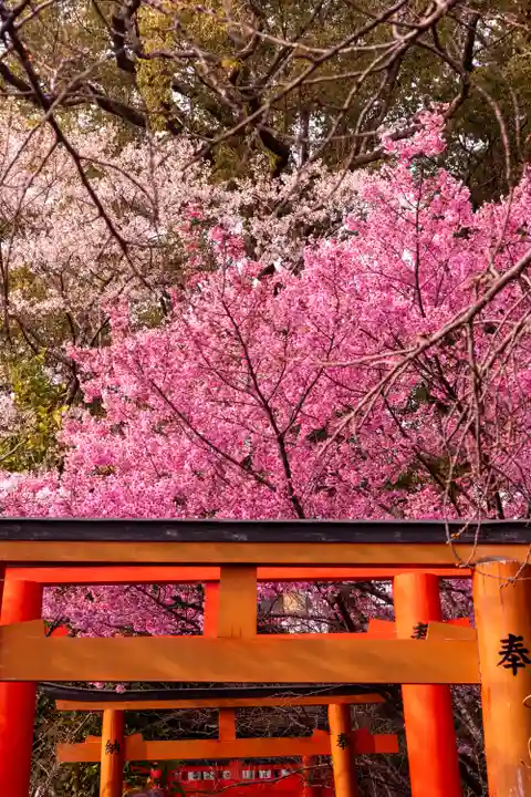 平野神社(京都府)
