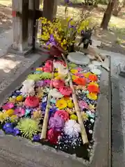 札幌護國神社の手水