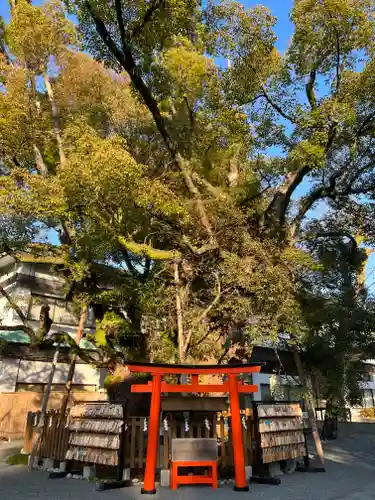 富知六所浅間神社の鳥居