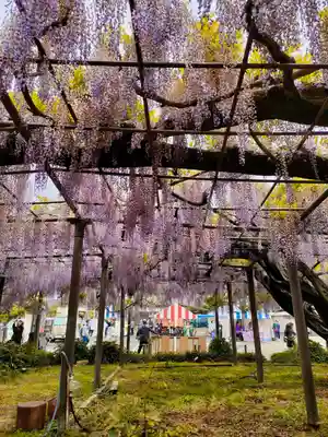 竹鼻別院の自然