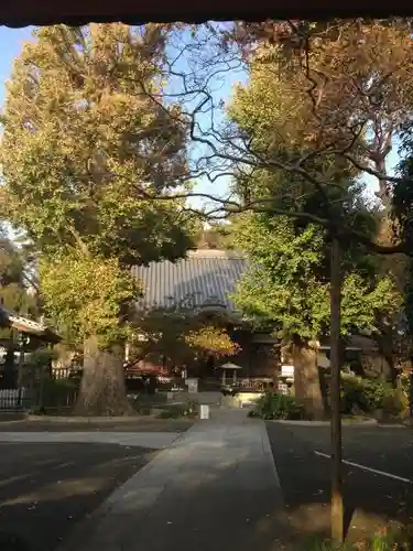 永安寺の本殿・本堂