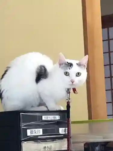 木山神社の動物