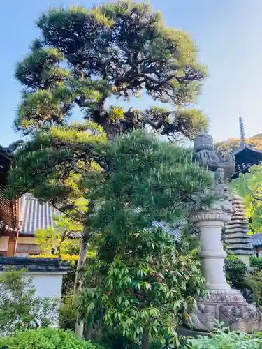 當麻寺 護念院のその他建物