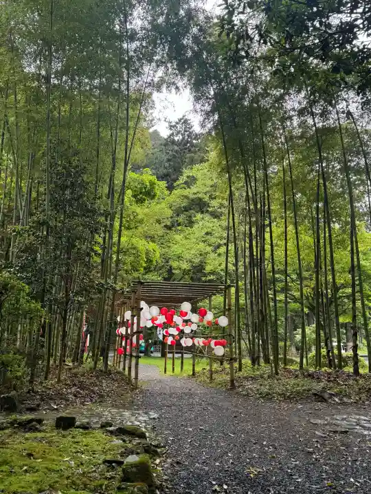 柳津虚空蔵尊 寳性院の{uncategorized: "未分類", other: "その他", undefined: "問題あり", building: "その他建物", grave: "お墓", sacred_gate: "鳥居", guardian: "狛犬", statue: "像", buddha: "仏像", history: "歴史", nature: "自然", garden: "庭園", animal: "動物", pagoda: "塔", temizu: "手水舎", mountain_gate: "山門・神門", sanctuary: "本殿・本堂", subordinate: "末社・摂社", art: "芸術", scenery: "景色", jizo: "地蔵", ema: "絵馬", goshuin: "御朱印", omikuji: "おみくじ", items: "授与品その他", amulet: "お守り", goshuincho: "御朱印帳", eats: "食事", festival: "お祭り", votive_dance: "神楽", shichigosan: "七五三参", wedding: "結婚式", experience: "体験その他", initially: "初詣", around: "周辺", anti_infection: "感染症対策"}
