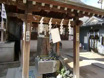 宇迦八幡宮の手水舎