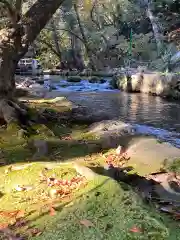 賀茂別雷神社（上賀茂神社）の庭園