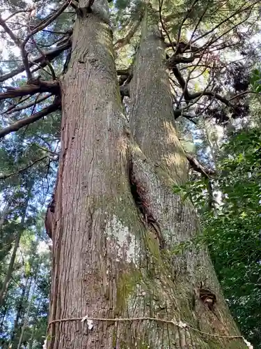黒瀧神社(三重県)