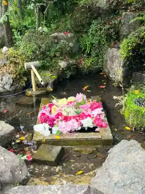 桂昌寺の{uncategorized: "未分類", other: "その他", undefined: "問題あり", building: "その他建物", grave: "お墓", sacred_gate: "鳥居", guardian: "狛犬", statue: "像", buddha: "仏像", history: "歴史", nature: "自然", garden: "庭園", animal: "動物", pagoda: "塔", temizu: "手水舎", mountain_gate: "山門・神門", sanctuary: "本殿・本堂", subordinate: "末社・摂社", art: "芸術", scenery: "景色", jizo: "地蔵", ema: "絵馬", goshuin: "御朱印", omikuji: "おみくじ", items: "授与品その他", amulet: "お守り", goshuincho: "御朱印帳", eats: "食事", festival: "お祭り", votive_dance: "神楽", shichigosan: "七五三参", wedding: "結婚式", experience: "体験その他", initially: "初詣", around: "周辺", anti_infection: "感染症対策"}