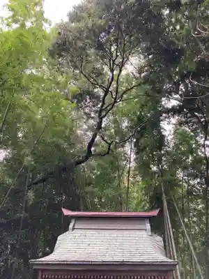 愛宕神社(茨城県)