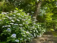 普門寺(切り絵御朱印発祥の寺)の庭園