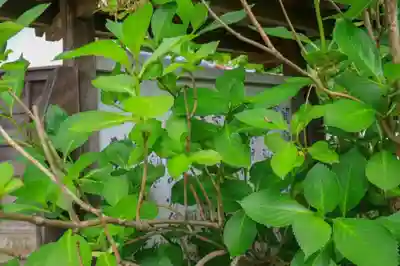 資福寺のその他建物